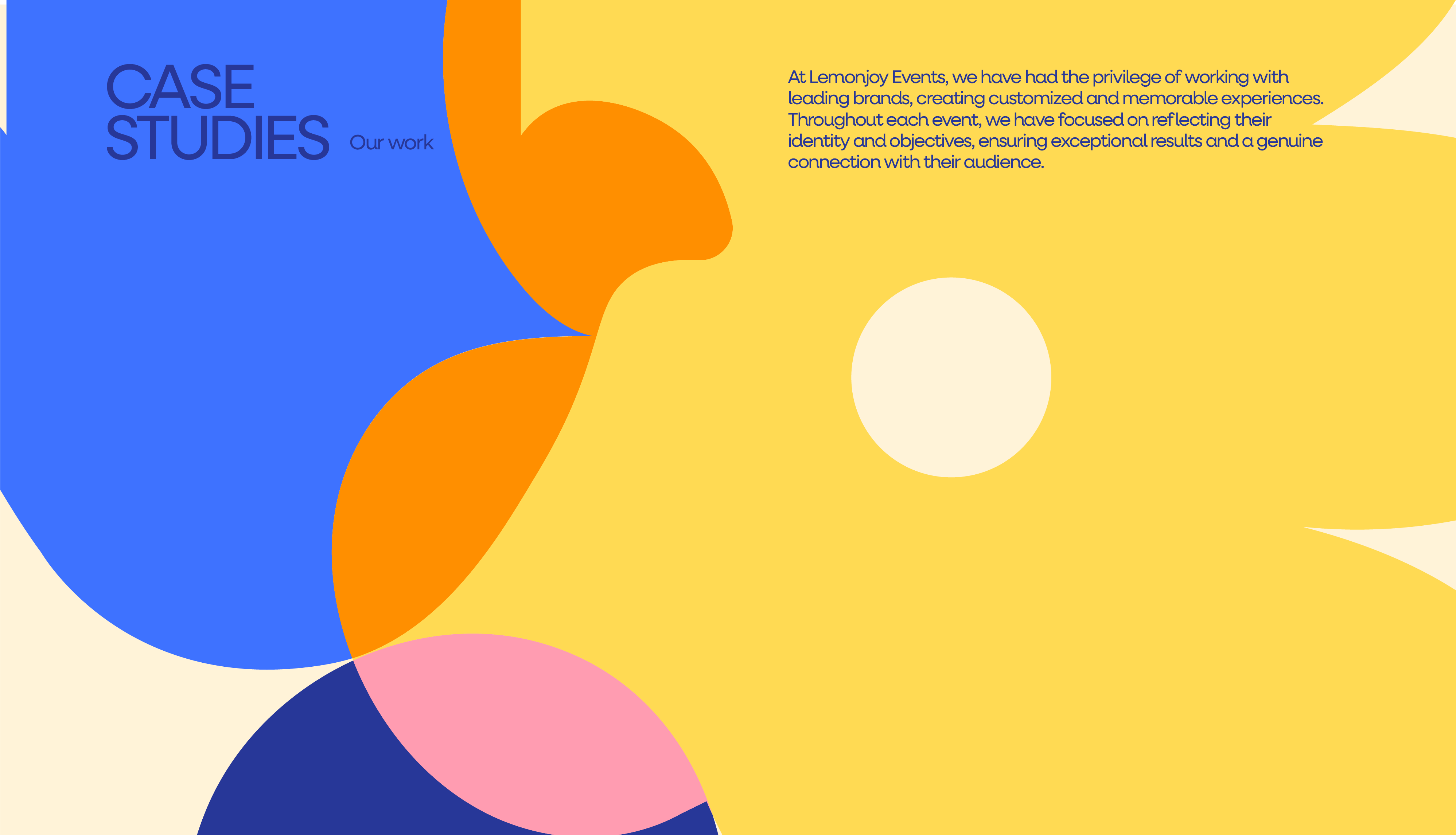 Case Studies - Our work